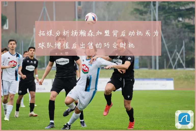 拓媒分析杨瀚森加盟背后动机或为球队增值后出售的巧合时机